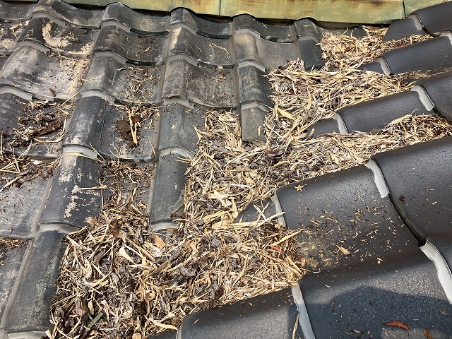 屋根に積もった葉っぱ